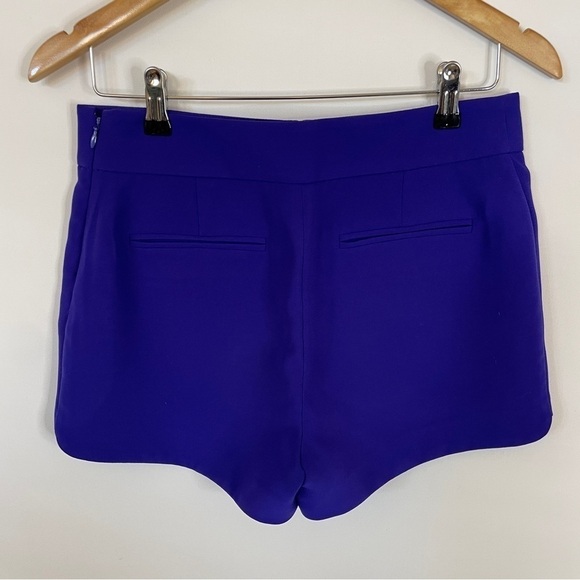 J. Crew Violet Tuxedo Shorts - Picture 3 of 6